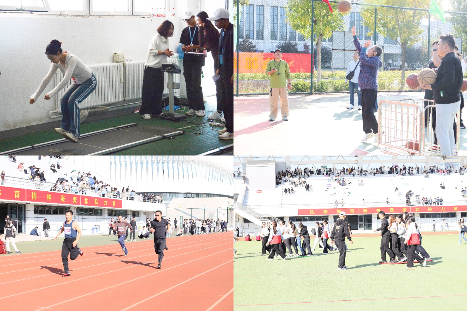 68da396b759a4.jpg 7.jpg